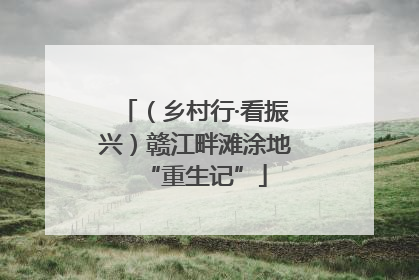 （乡村行·看振兴）赣江畔滩涂地“重生记”
