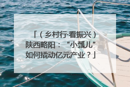 （乡村行·看振兴）陕西略阳：“小瓢儿”如何撬动亿元产业？