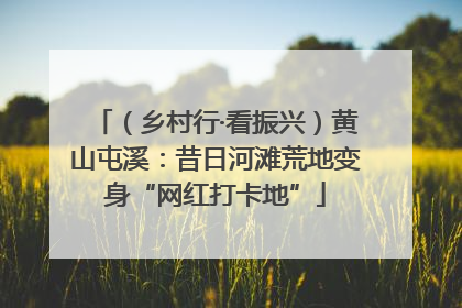 （乡村行·看振兴）黄山屯溪：昔日河滩荒地变身“网红打卡地”