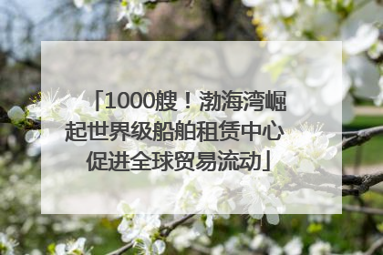 1000艘！渤海湾崛起世界级船舶租赁中心 促进全球贸易流动