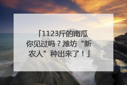 1123斤的南瓜你见过吗？潍坊“新农人”种出来了！