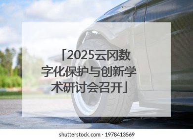 2025云冈数字化保护与创新学术研讨会召开