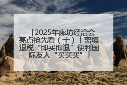 2025年廊坊经洽会亮点抢先看（十）丨离境退税“即买即退”便利国际友人“买买买”