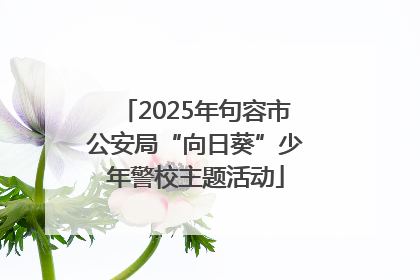 2025年句容市公安局“向日葵”少年警校主题活动