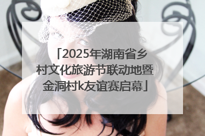 2025年湖南省乡村文化旅游节联动地暨金洞村k友谊赛启幕