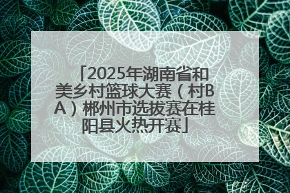 2025年湖南省和美乡村篮球大赛（村BA）郴州市选拔赛在桂阳县火热开赛