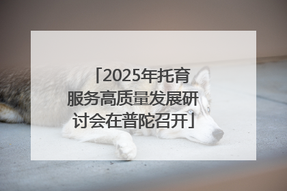 2025年托育服务高质量发展研讨会在普陀召开
