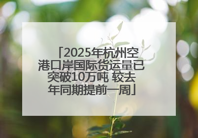 2025年杭州空港口岸国际货运量已突破10万吨 较去年同期提前一周