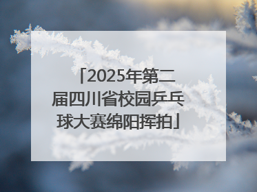 2025年第二届四川省校园乒乓球大赛绵阳挥拍