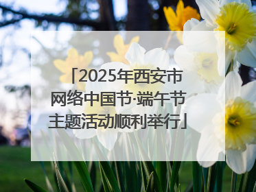 2025年西安市网络中国节·端午节主题活动顺利举行