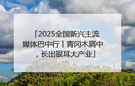 2025全国新兴主流媒体巴中行丨青冈木屑中，长出银耳大产业
