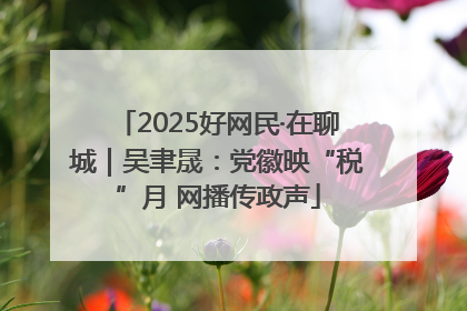 2025好网民·在聊城｜吴聿晟：党徽映“税”月 网播传政声