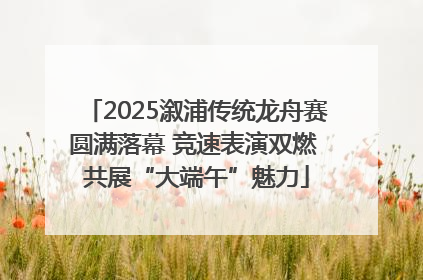 2025溆浦传统龙舟赛圆满落幕 竞速表演双燃 共展“大端午”魅力