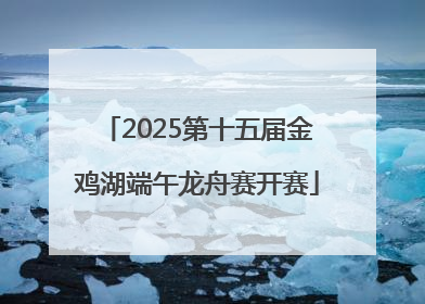 2025第十五届金鸡湖端午龙舟赛开赛