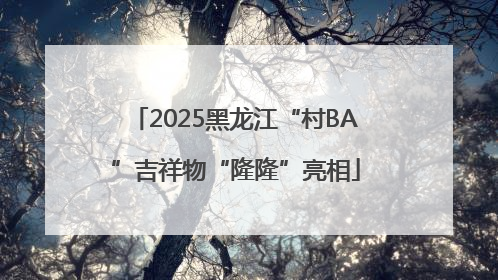 2025黑龙江“村BA”吉祥物“隆隆”亮相
