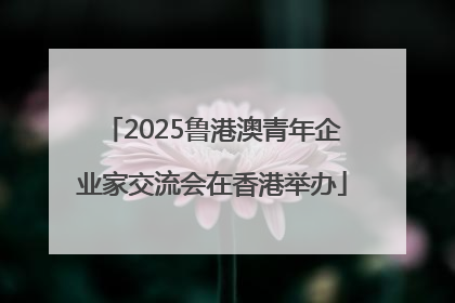 2025鲁港澳青年企业家交流会在香港举办