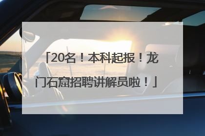 20名！本科起报！龙门石窟招聘讲解员啦！