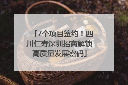 7个项目签约！四川仁寿深圳招商解锁高质量发展密码