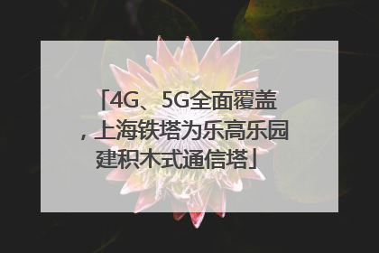 4G、5G全面覆盖，上海铁塔为乐高乐园建积木式通信塔
