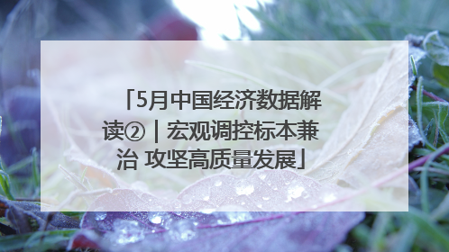 5月中国经济数据解读②｜宏观调控标本兼治 攻坚高质量发展