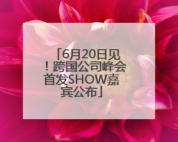 6月20日见！跨国公司峰会首发SHOW嘉宾公布
