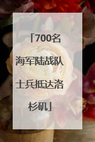 700名海军陆战队士兵抵达洛杉矶