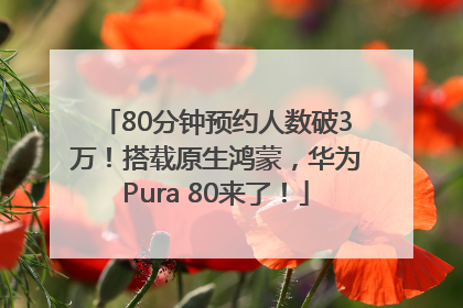 80分钟预约人数破3万！搭载原生鸿蒙，华为Pura 80来了！