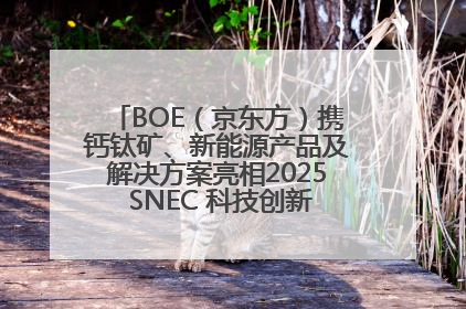 BOE（京东方）携钙钛矿、新能源产品及解决方案亮相2025 SNEC 科技创新赋能行业绿色发展