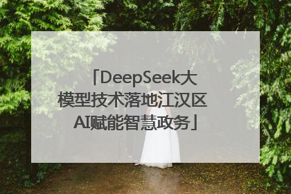 DeepSeek大模型技术落地江汉区 AI赋能智慧政务